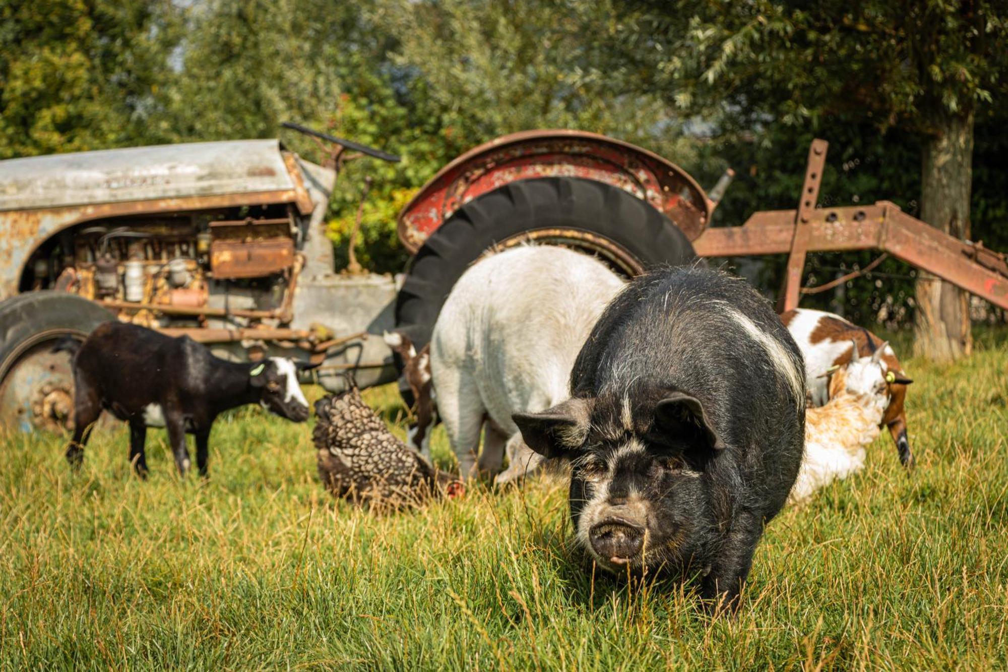 Landgoed Versteegh Nabij Heerlijkheid Marienwaerdt Beesd Exteriér fotografie